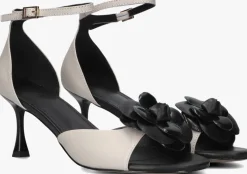 DAMES TORAL te pumps rita