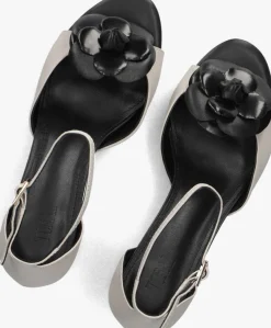 DAMES TORAL te pumps rita