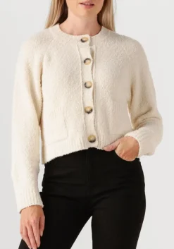 DAMES VANESSA BRUNO te vest fantine