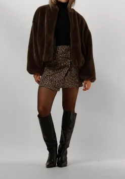 DAMES BELLAMY e coltrui lizzy