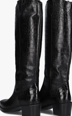 DAMES BLASZ e hoge laarzen 35