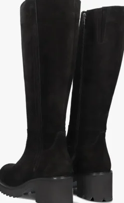 DAMES BLASZ e hoge laarzen evs-5014