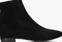 DAMES BRUNATE e enkellaarsjes 18032