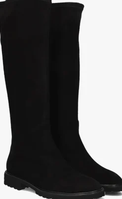 DAMES BRUNATE e hoge laarzen 18583