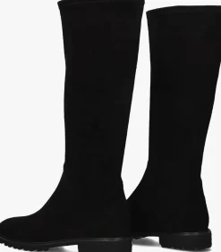 DAMES BRUNATE e hoge laarzen 18583