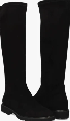 DAMES BRUNATE e hoge laarzen 18583