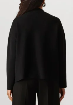 DAMES CAROLINE BISS e sweater 4243