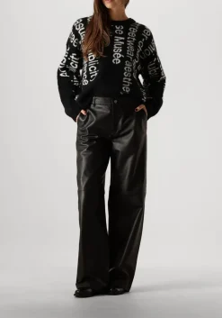 DAMES COPENHAGEN MUSE e trui cmibra-pullover