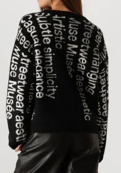 DAMES COPENHAGEN MUSE e trui cmibra-pullover