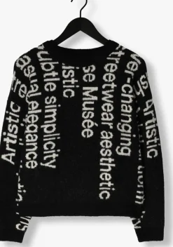 DAMES COPENHAGEN MUSE e trui cmibra-pullover