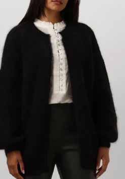 DAMES DES PETITS HAUTS e vest altea