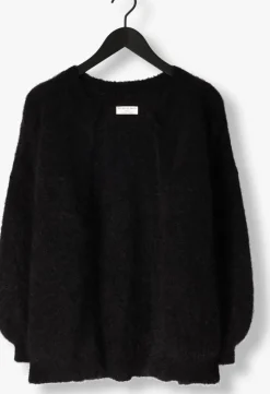 DAMES DES PETITS HAUTS e vest altea