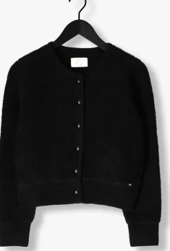 DAMES DES PETITS HAUTS e vest cumin