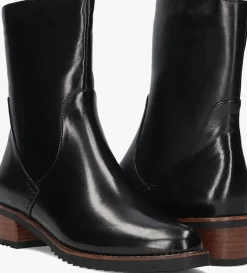 DAMES EVERYBODY e enkellaarsjes bee