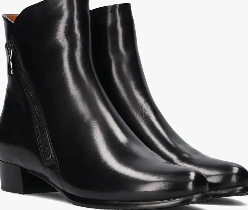 DAMES EVERYBODY e enkellaarsjes barocoria