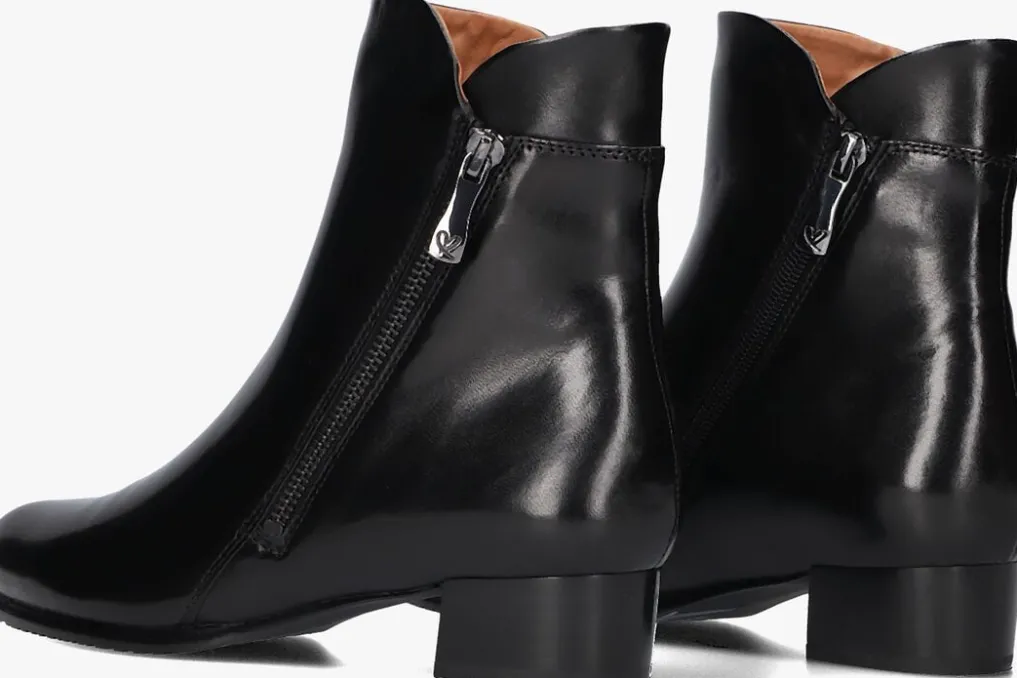 DAMES EVERYBODY e enkellaarsjes barocoria