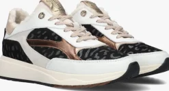 DAMES FLORIS VAN BOMMEL e lage sneakers sfw-10138 suvi