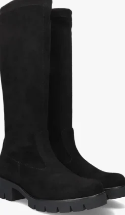 DAMES GABOR e hoge laarzen 719