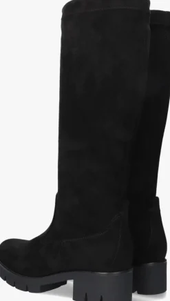 DAMES GABOR e hoge laarzen 719