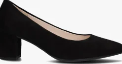DAMES GABOR e pumps 450
