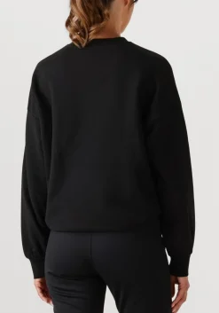 DAMES GOLDBERGH e sweater alessandra crew neck sweater