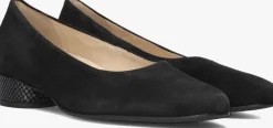 DAMES HASSIA e pumps 302623