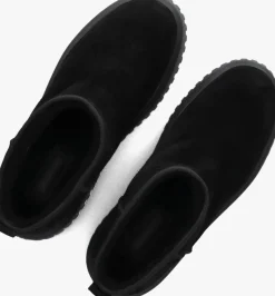 DAMES HOGAN e enkellaarsjes sue booty gz