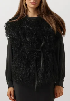 DAMES IBANA e gilet jannes