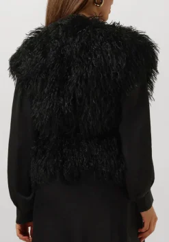 DAMES IBANA e gilet jannes