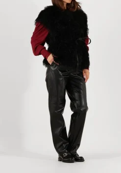 DAMES IBANA e gilet jannes