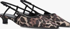 DAMES KENNEL & SCHMENGER e slingbacks 39100