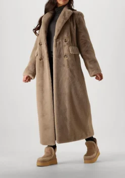 DAMES KNIT-TED e legging amber pant