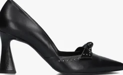 DAMES LODI e pumps renca