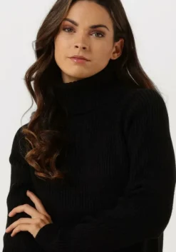 DAMES MINUS e mini jurk ava knit turtleneck dress