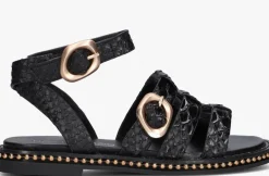 DAMES NOA HARMON e sandalen 9737