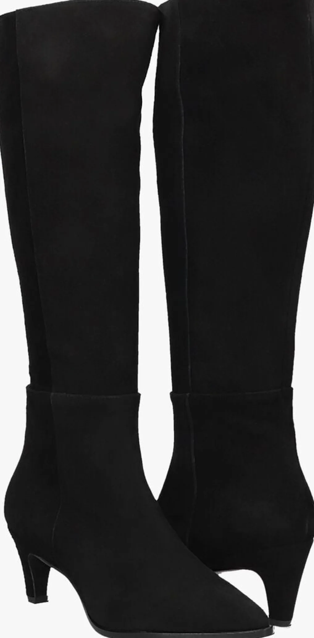 DAMES NOTRE-V e hoge laarzen 15290