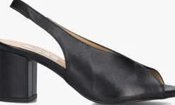 DAMES NOTRE-V e slingbacks 16068