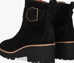 DAMES PAUL GREEN e enkellaarsjes 9763