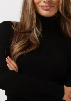 DAMES ROSEMUNDE e coltrui silk t-shirt w/ roller neck