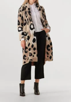 DAMES SANTONI e enkellaarsjes 71846