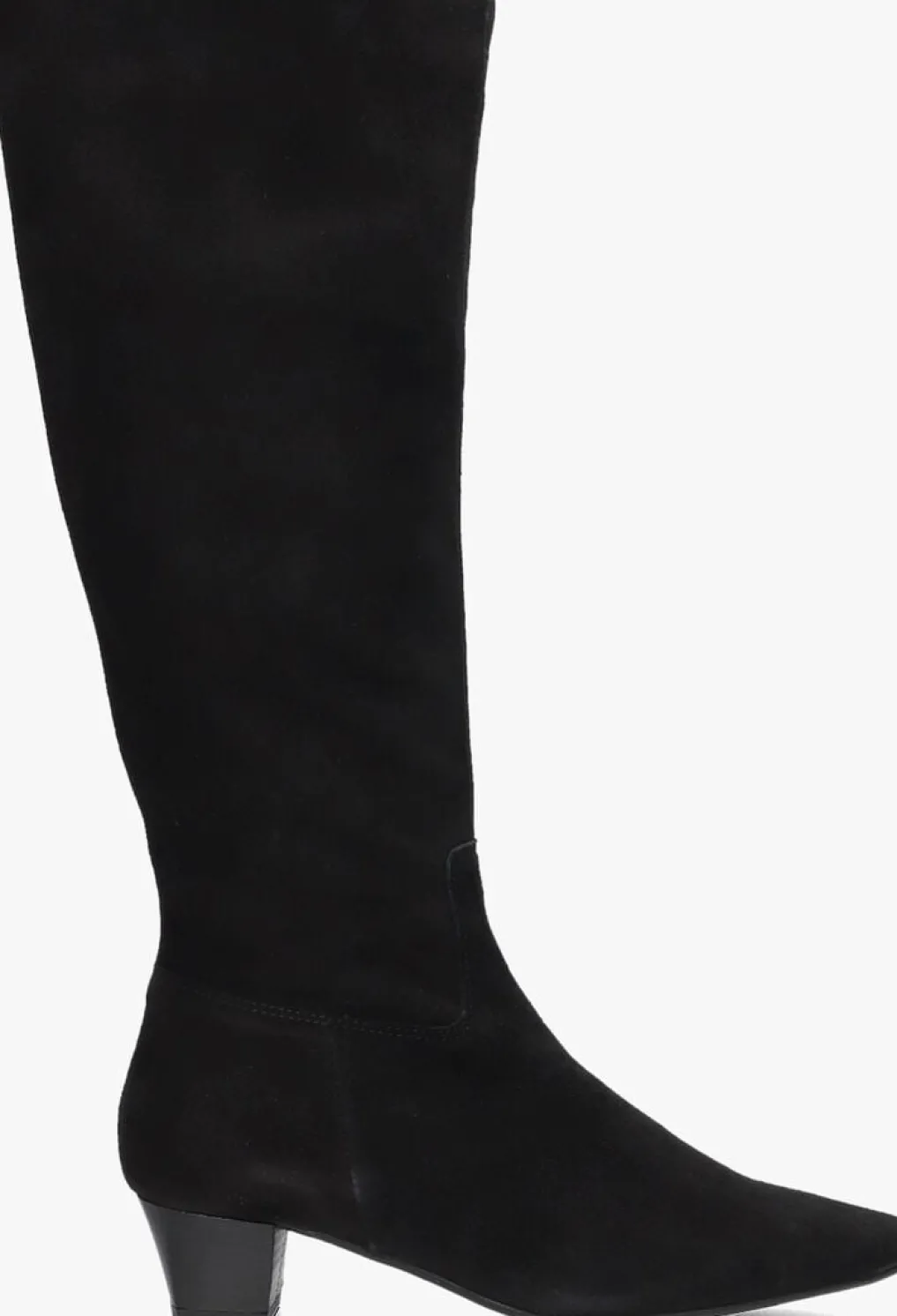 DAMES STEFANO LAURAN e hoge laarzen 010-290