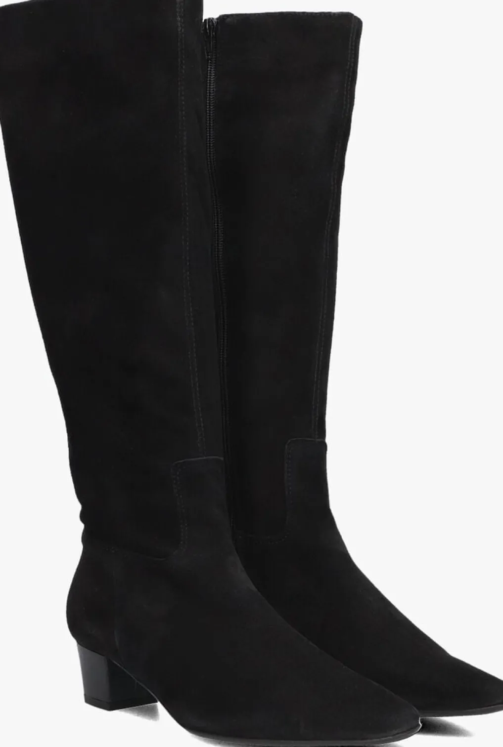 DAMES STEFANO LAURAN e hoge laarzen 010-290