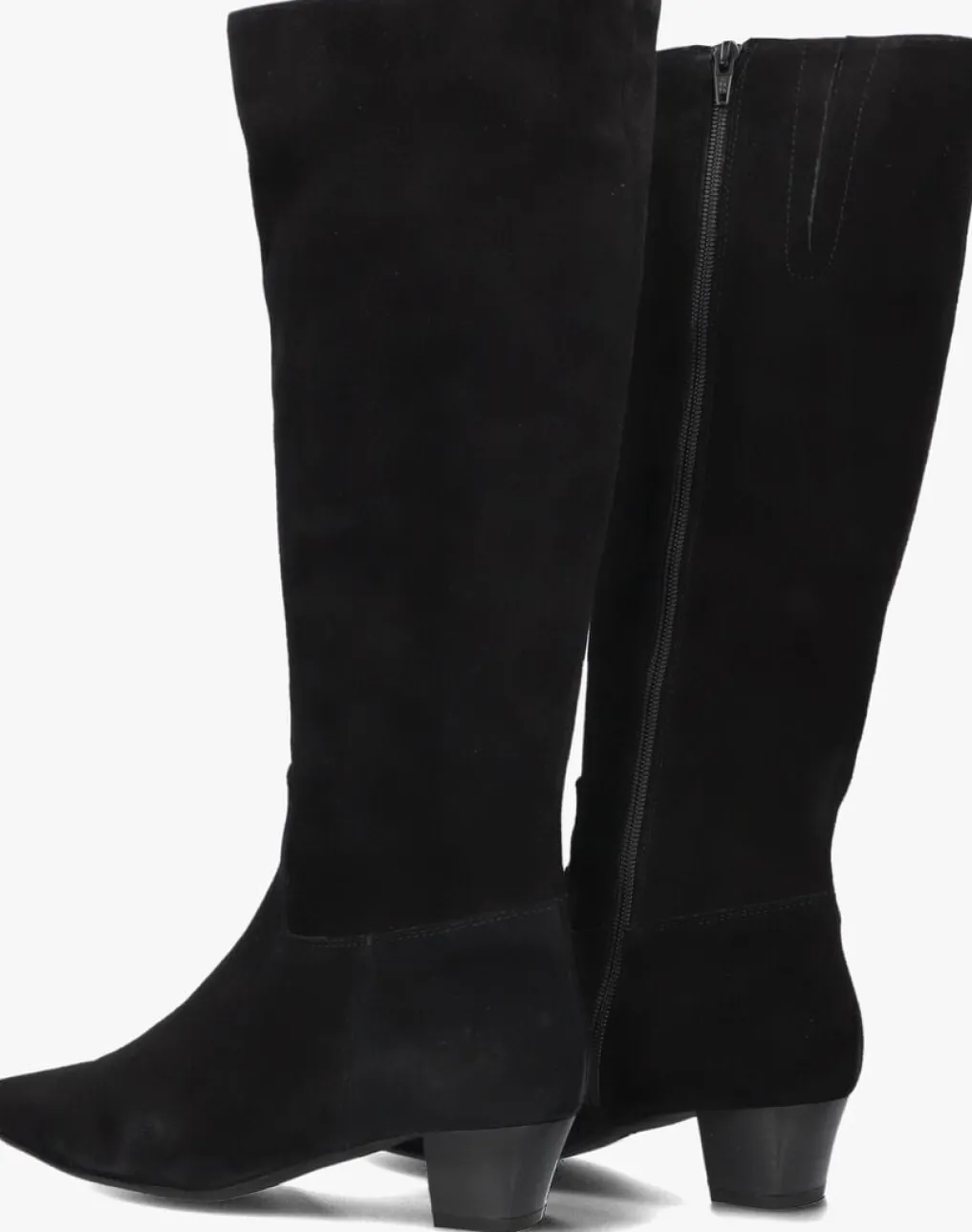 DAMES STEFANO LAURAN e hoge laarzen 010-290