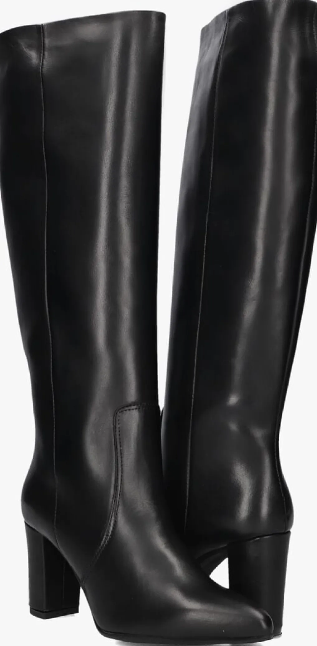 DAMES STEFANO LAURAN e hoge laarzen 011-52