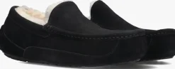 Heren UGG e pantoffels ascot
