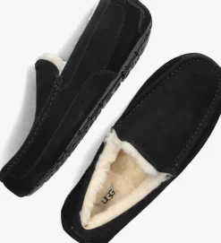 Heren UGG e pantoffels ascot