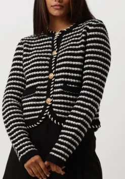 DAMES VANESSA BRUNO e truien/vesten daya