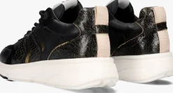 DAMES VIA VAI e lage sneakers vic taylor